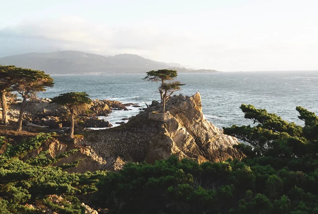 Discover Opulence in the Heart of the Monterey Peninsula